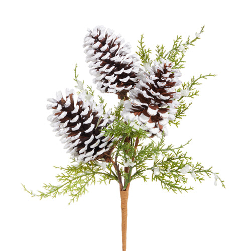 Snowy Pinecone and Pine Pick