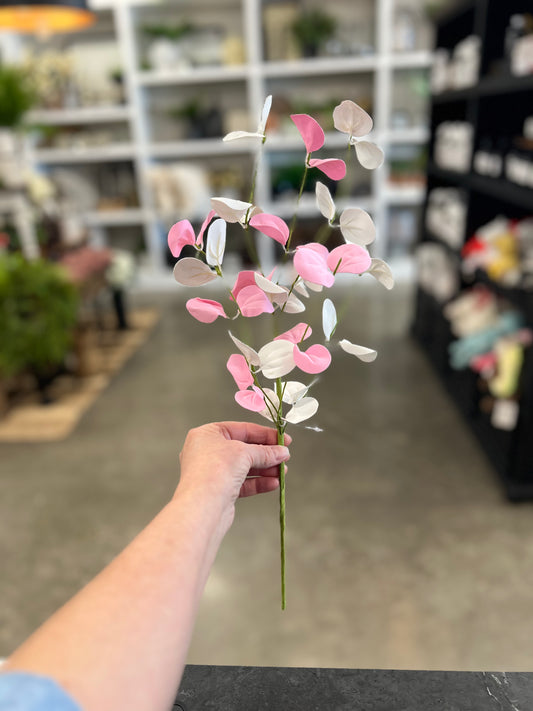 Pink and White Silver Dollar Pick