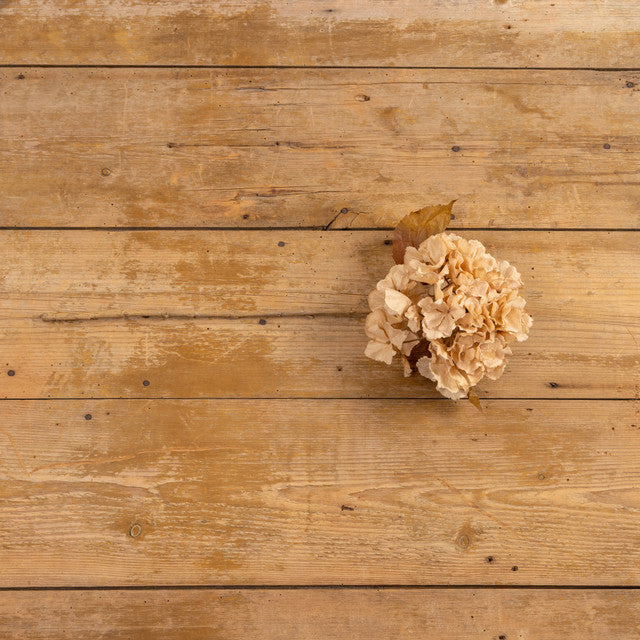 Tall Beige Hydrangea Spray