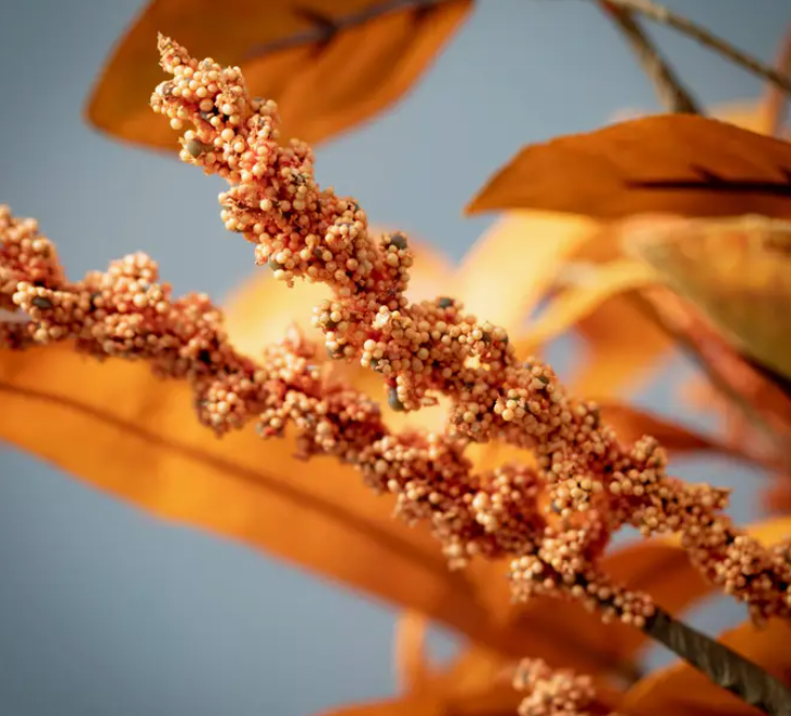 Fall Leaf and Seed Taper Ring