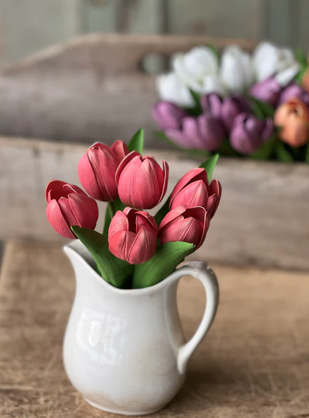 Poppet Tulip Bundle - Coral