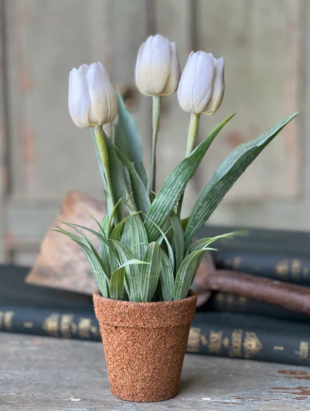 Holland Tulip Pot - White