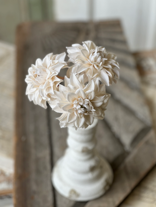 Damask Dahlia Bundle - Cream