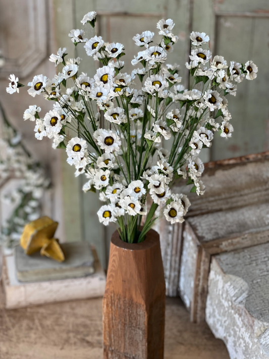 Fairchild Daisy Bundle