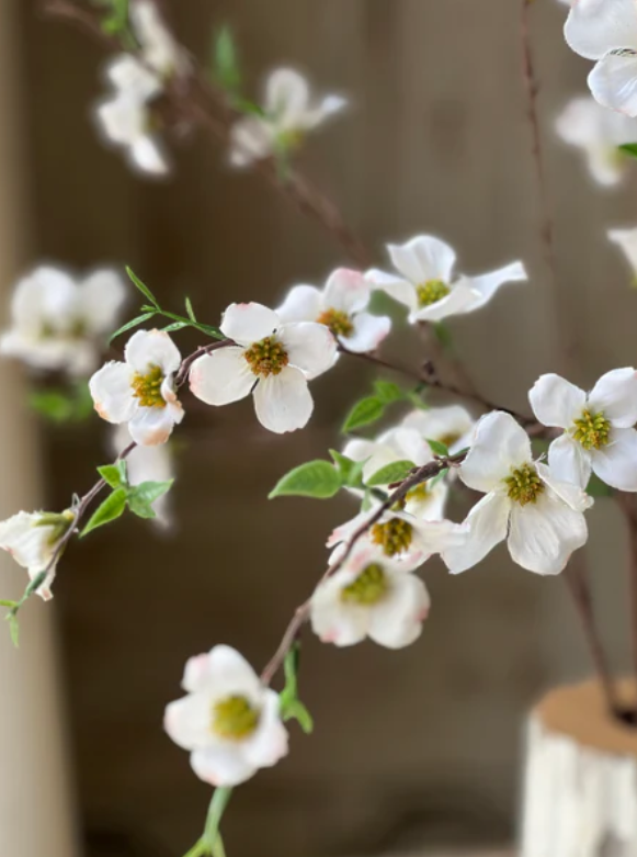 White Dogwood Spray