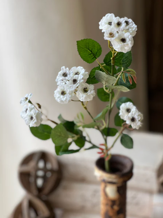 Sweetbriar Rosette Spray - Cream