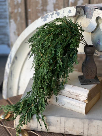 Emerald Falls Hanging Stem