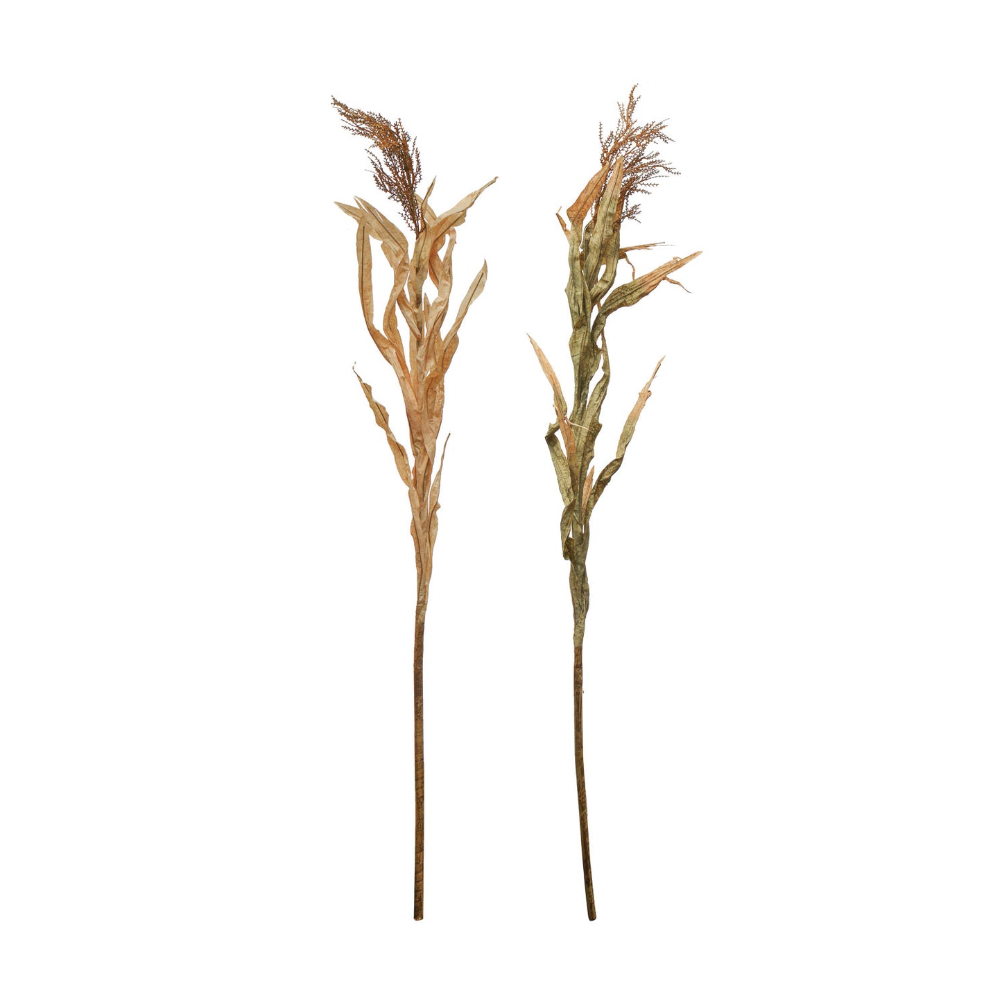 Faux Cornstalk - 2 Colors