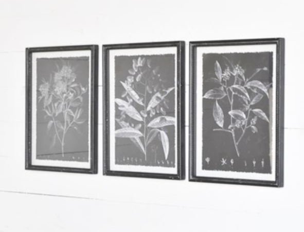 Black and White Botanical Wall Print - 3 Styles